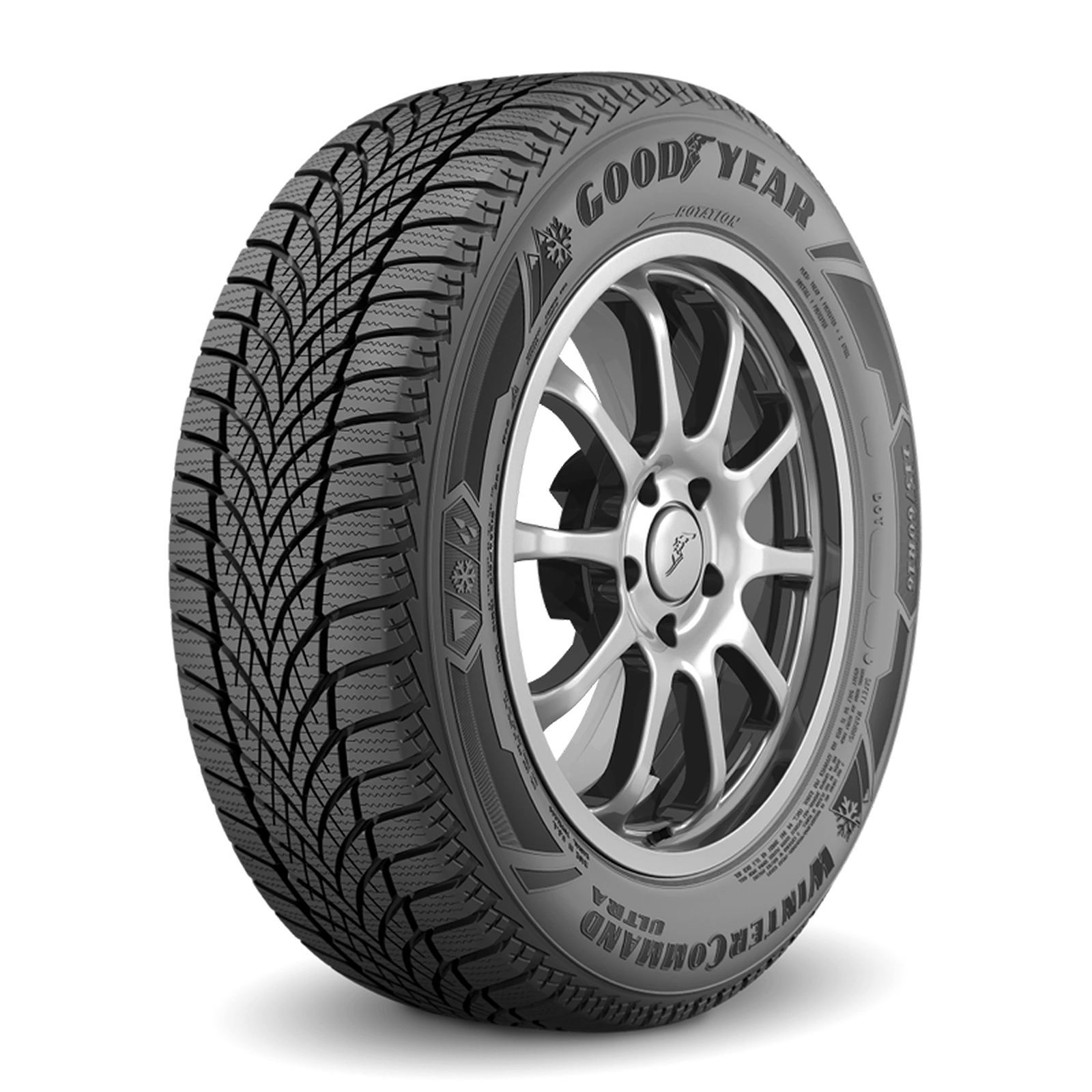 Winter